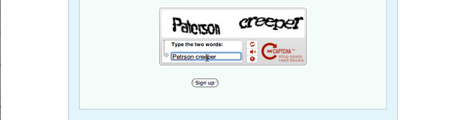 Portfolio_captcha